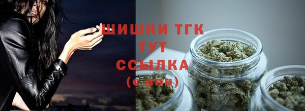 spice Арсеньев