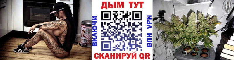Конопля конопля  Чадан 